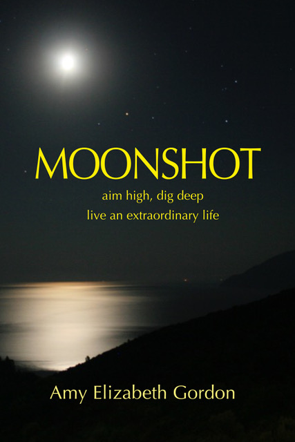 Moonshot aim high, dive deep, live an extraordinary life